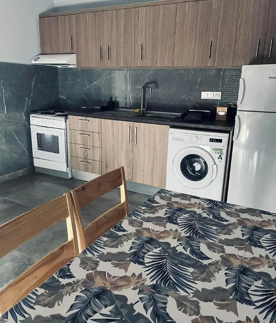 Modern Grey Apartment Nea Michaniona