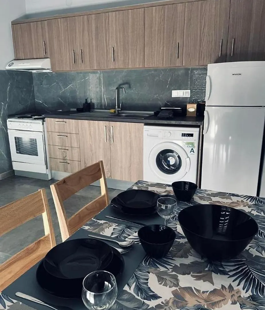Modern Grey Apartment Nea Michaniona