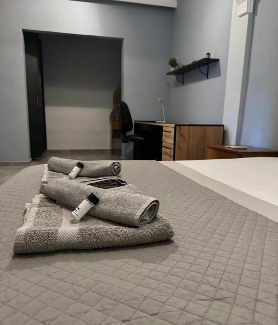 Modern Grey Apartment Nea Michaniona