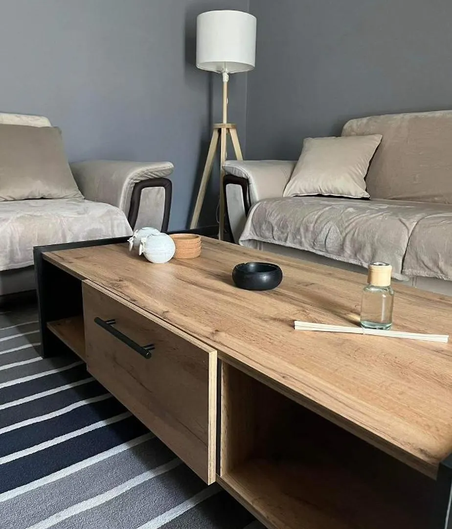 Modern Grey Apartment Nea Michaniona Greece